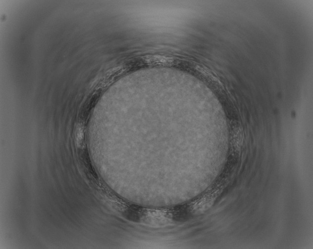 X0000087320709200705181011