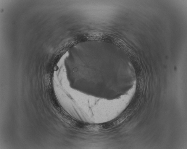 X0000087320711200705181011