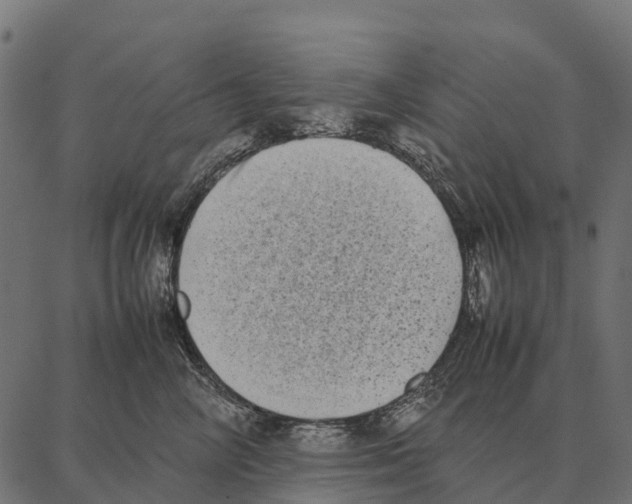 X0000087320714200705181011