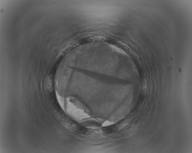 X0000087320715200705181011