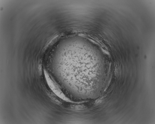 X0000087320716200705181011