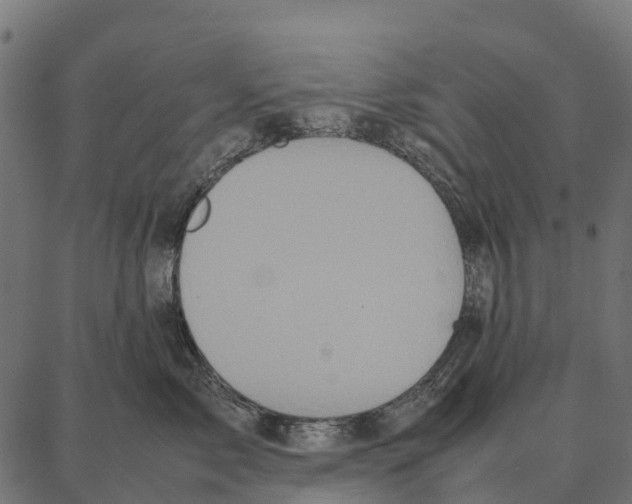 X0000087320717200705181011