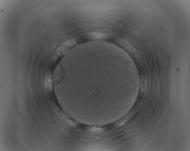 X0000087320718200705181011