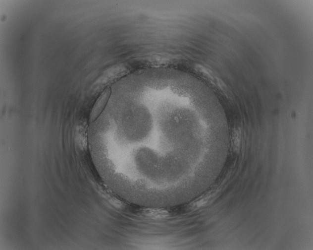 X0000087320719200705181011