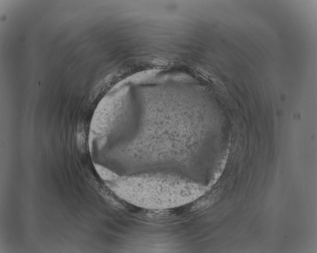 X0000087320720200705181011