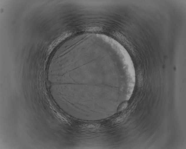 X0000087320721200705181010