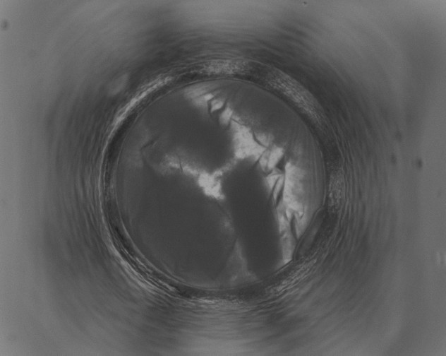 X0000087320722200705181010