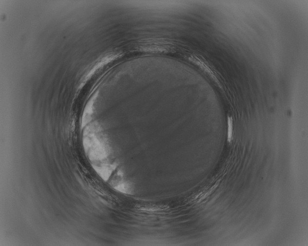 X0000087320723200705181010