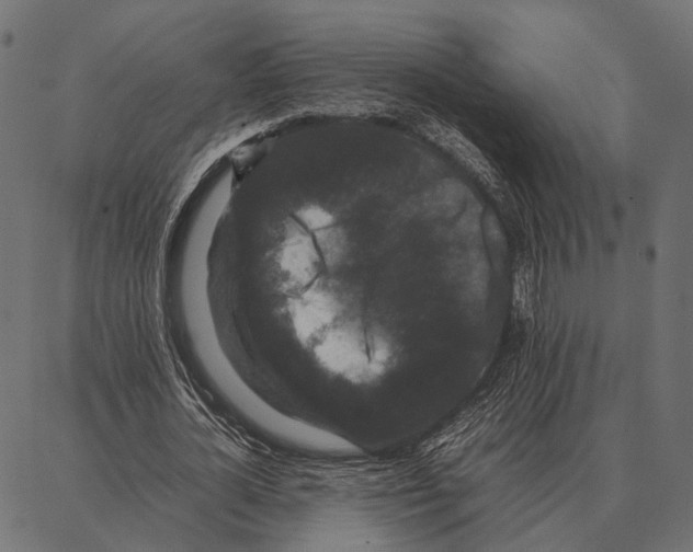 X0000087320724200705181010