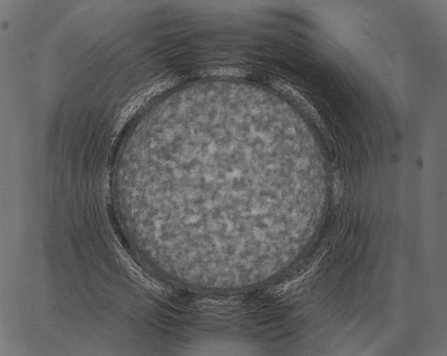 X0000087320725200705181010