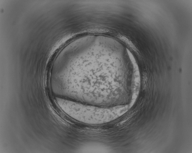 X0000087320726200705181010