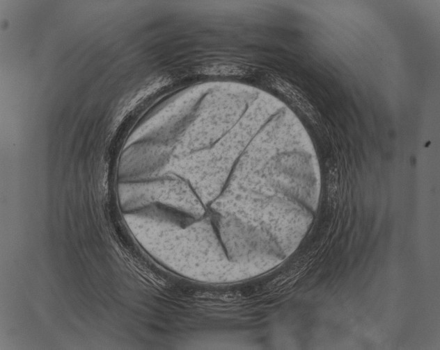 X0000087320727200705181010