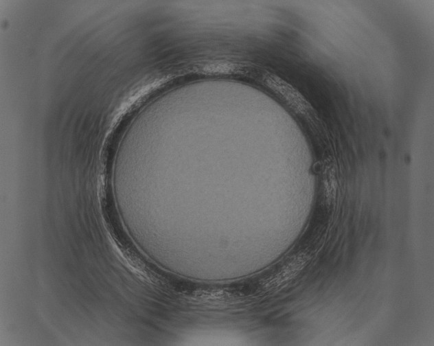 X0000087320728200705181010