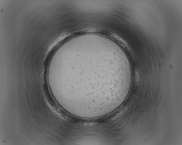 X0000087320730200705181010