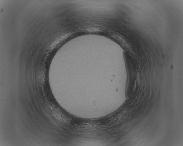 X0000087320732200705181010