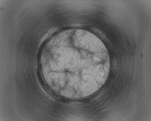 X0000087320734200705181010