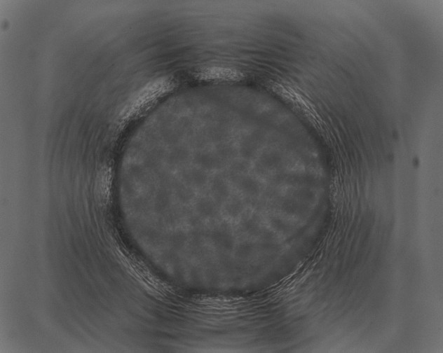 X0000087320735200705181010