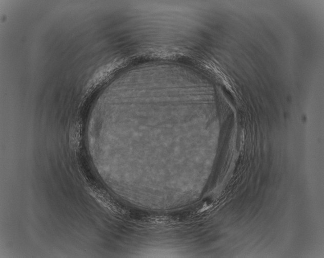 X0000087320736200705181010