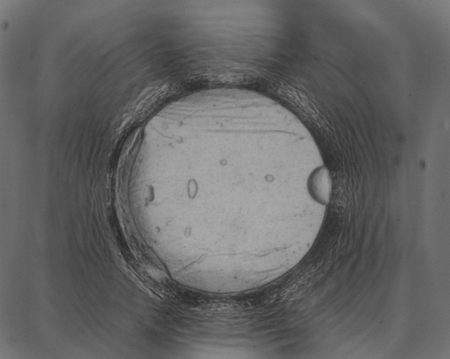 X0000087320738200705181010