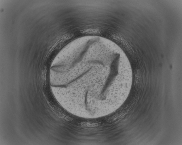 X0000087320739200705181010