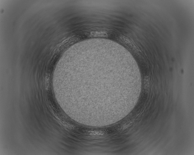 X0000087320741200705181010