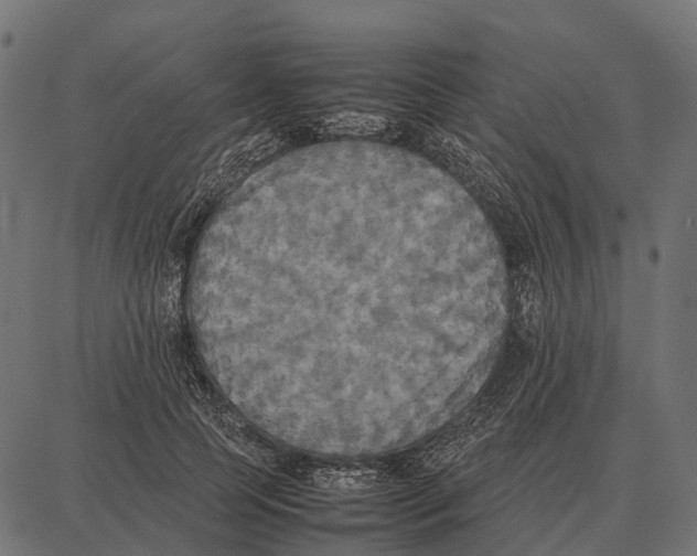 X0000087320745200705181010