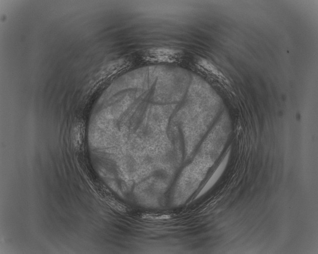 X0000087320747200705181011