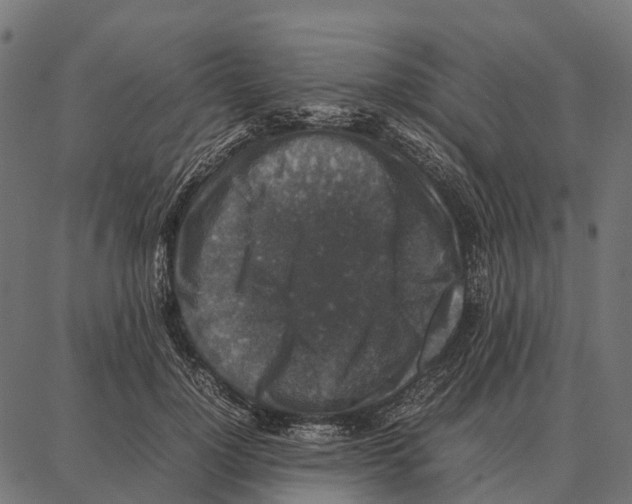 X0000087320748200705181011