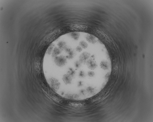 X0000087320749200705181011