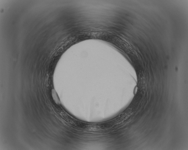 X0000087320750200705181011