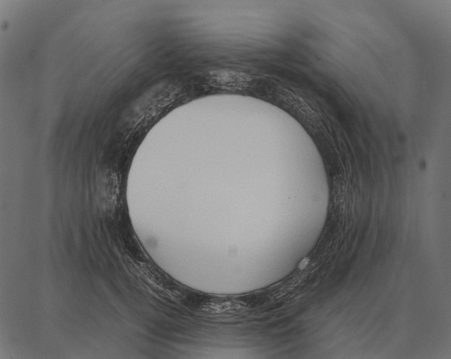 X0000087320752200705181011