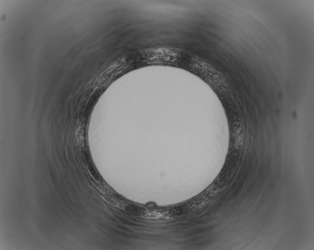 X0000087320753200705181011