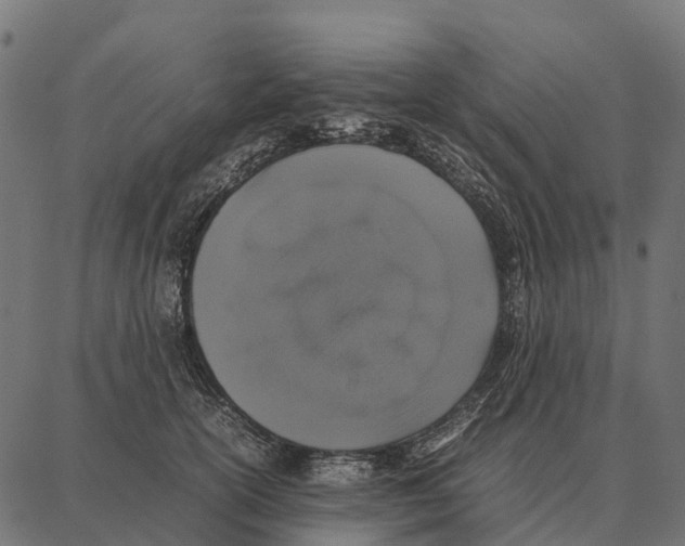 X0000087320754200705181011