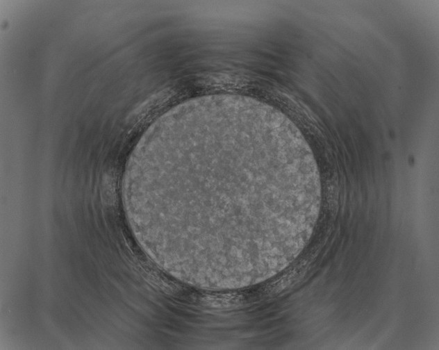 X0000087320757200705181011