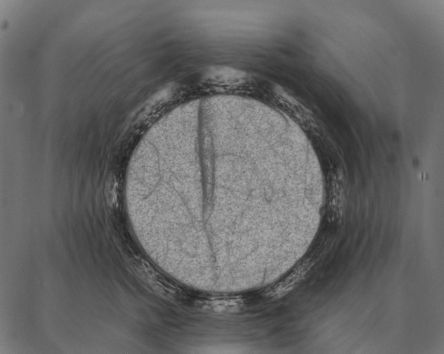 X0000087320758200705181011