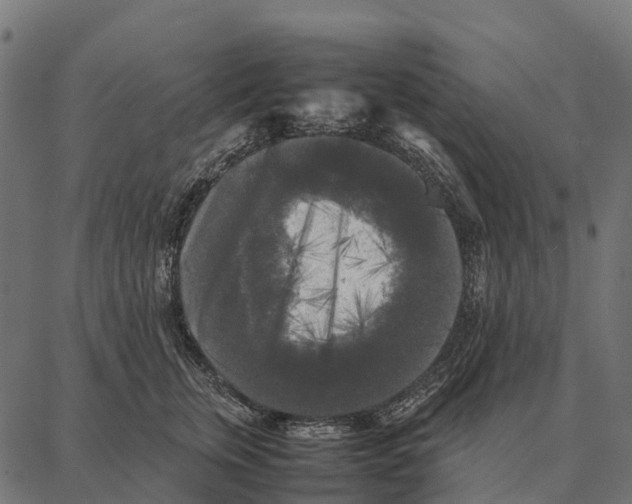 X0000087320759200705181011