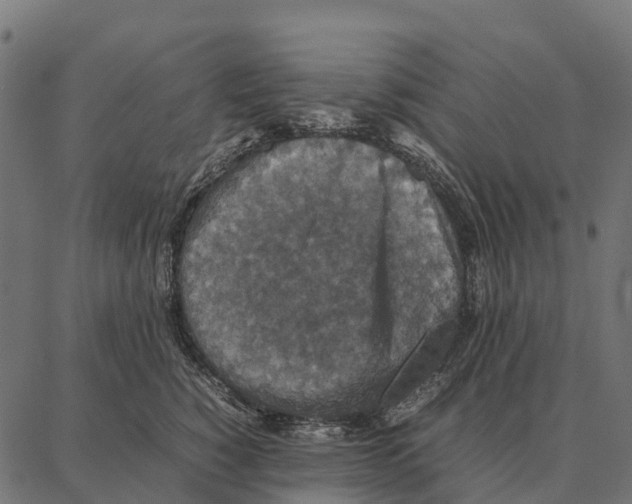 X0000087320760200705181011