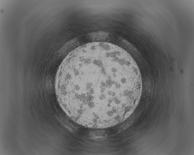 X0000087320761200705181011