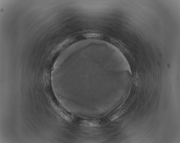 X0000087320763200705181011