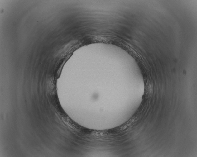 X0000087320764200705181011