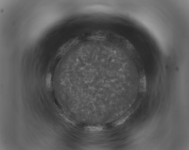 X0000087320765200705181011