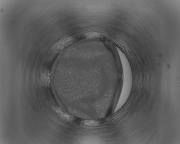 X0000087320766200705181011