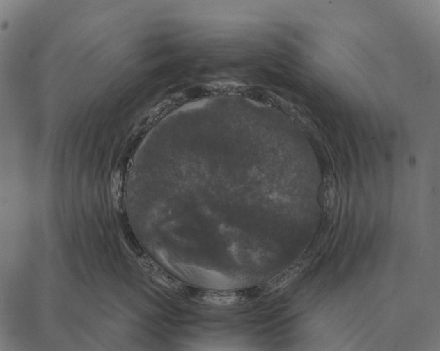 X0000087320767200705181011