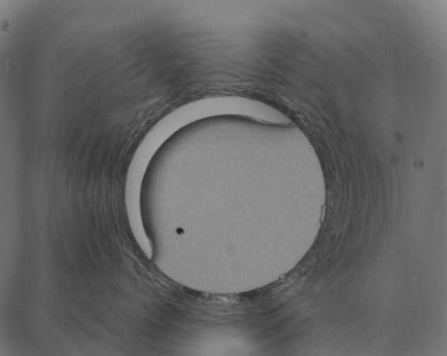 X0000087320768200705181011