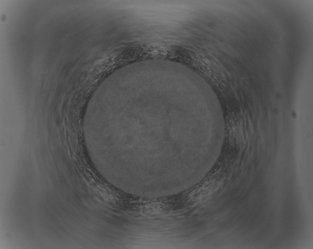 X0000087320769200705181010