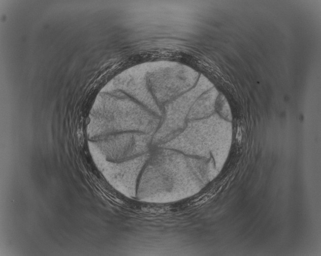 X0000087320771200705181010