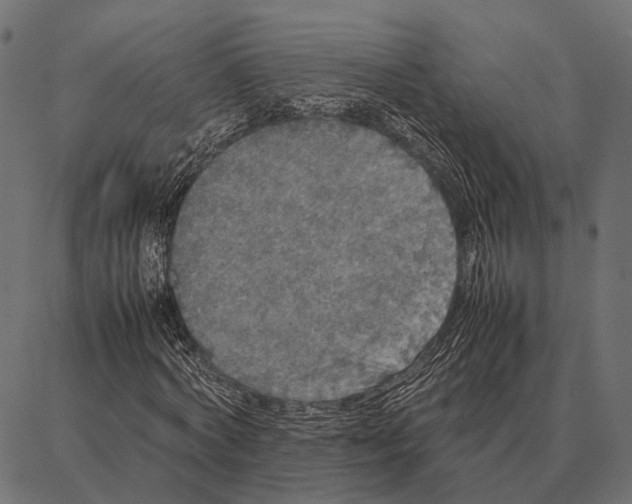 X0000087320772200705181010