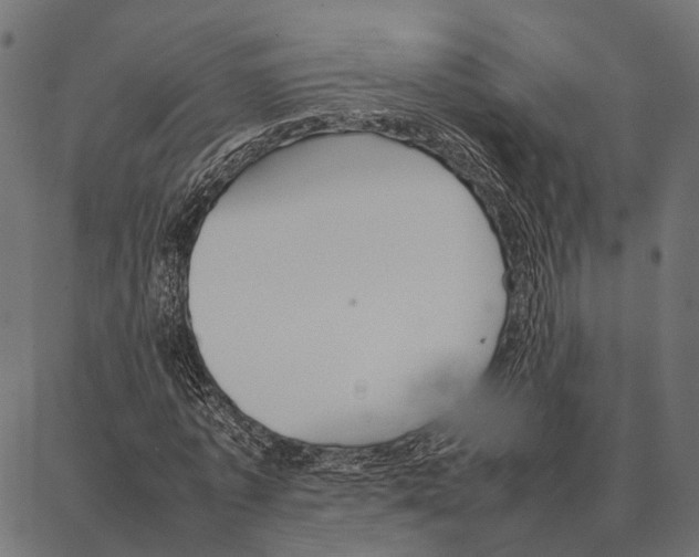 X0000087320773200705181010