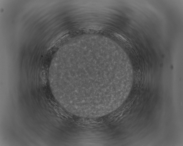 X0000087320774200705181010