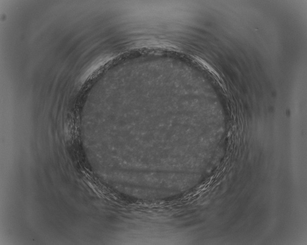 X0000087320775200705181010